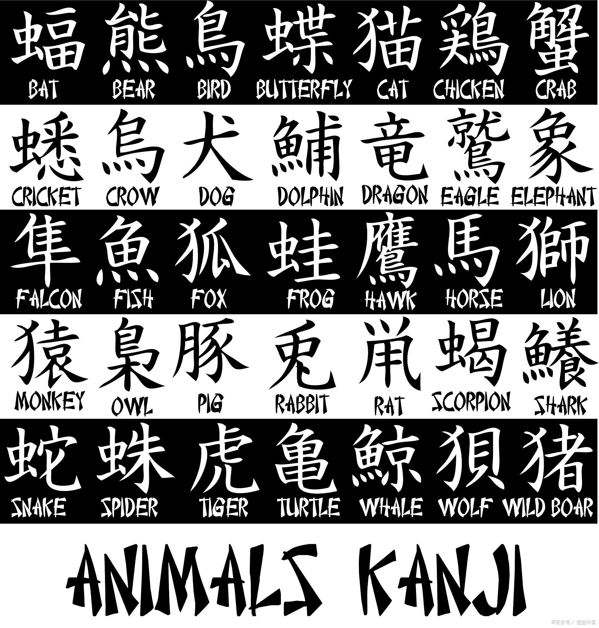 科普展现:生僻字名字（生僻字名字男霸气）