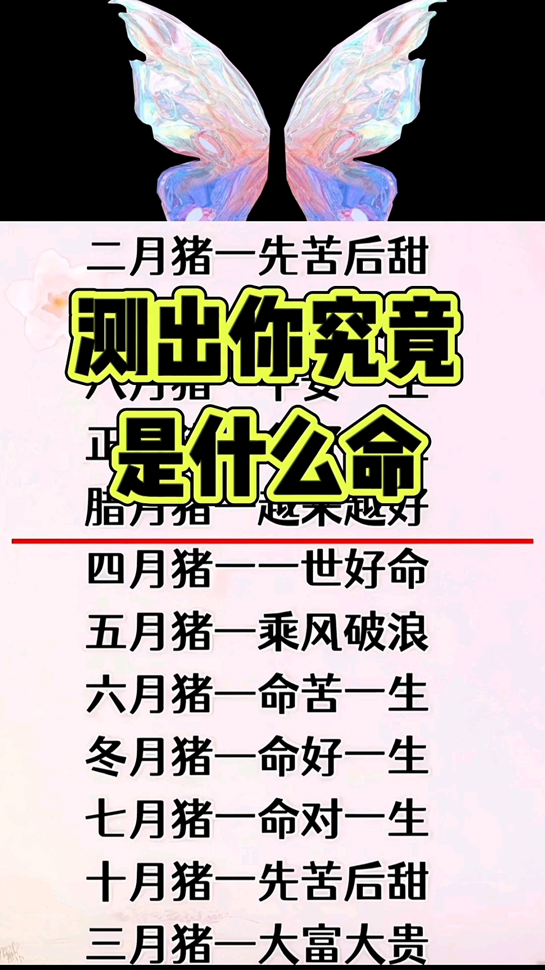 科普展现:什么命（什么命适合养花）