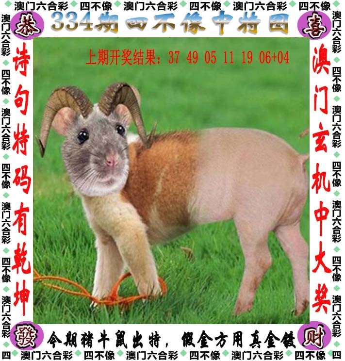2024今晚澳门码开奖直播