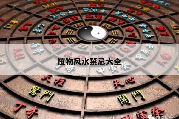 植物风水禁忌大全