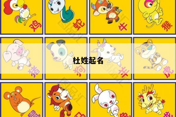 杜姓起名