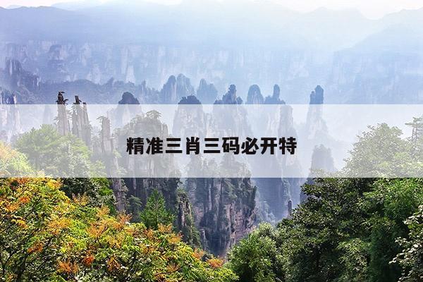 精准三肖三码必开特
