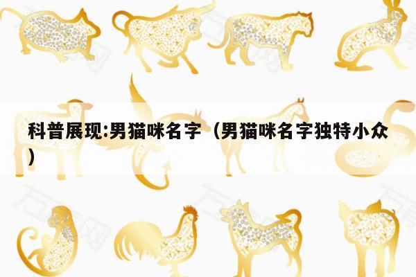 科普展现:男猫咪名字（男猫咪名字独特小众）