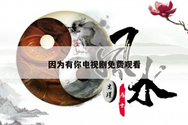 因为有你电视剧免费观看