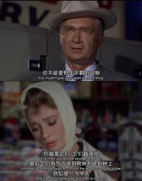 蒂凡尼的早餐,蒂凡尼的早餐剧情介绍