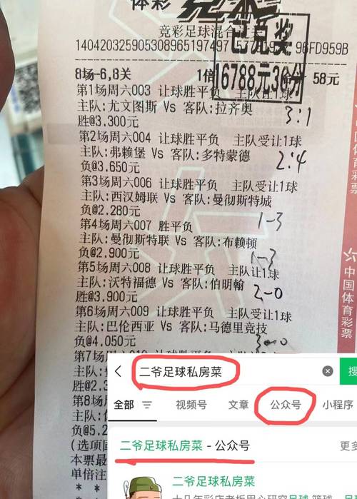 体育网足球,体育网足球及时 比分
